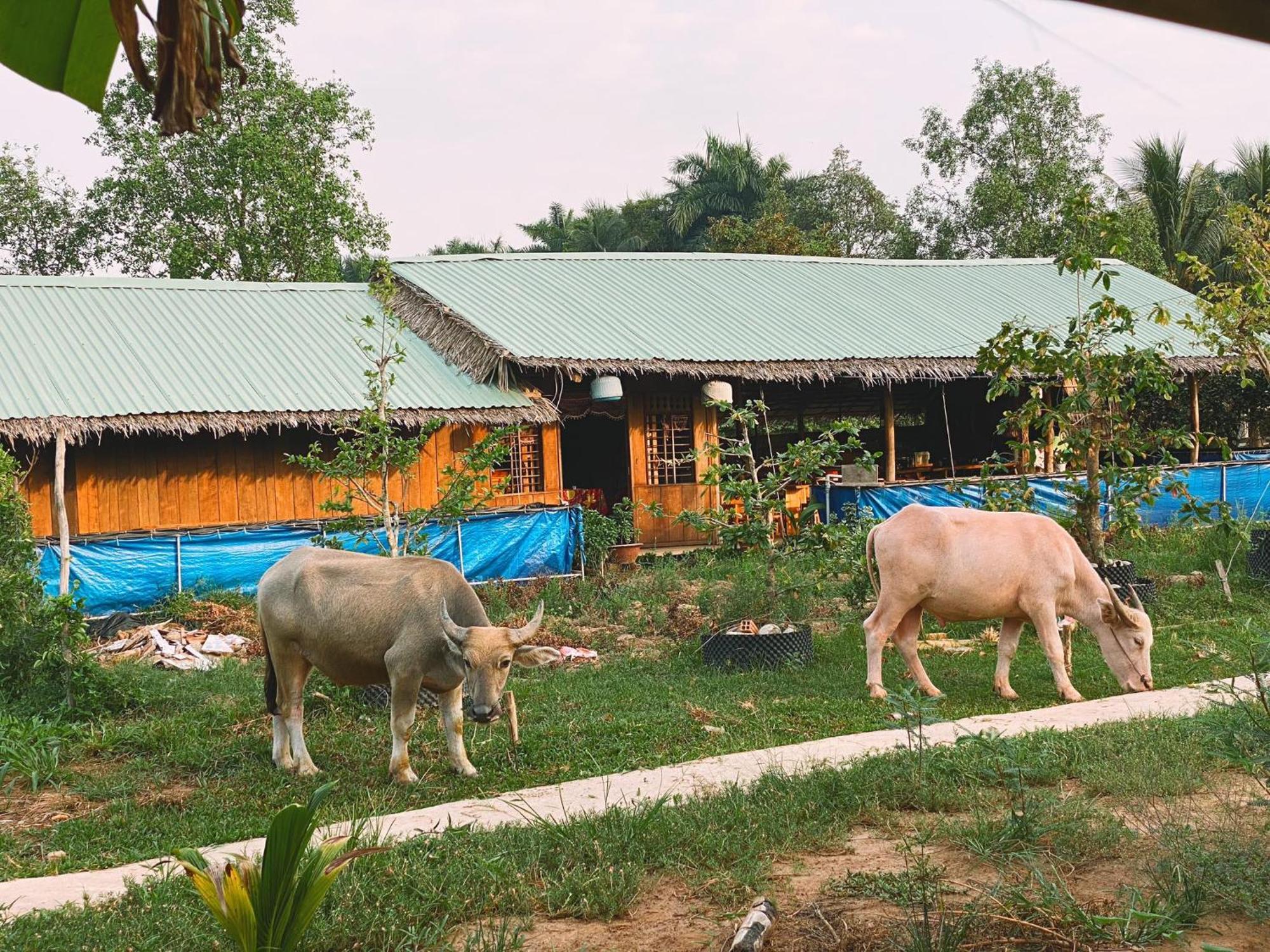 The Local Homestay Con Son เกิ่นเทอ ภายนอก รูปภาพ